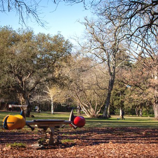 Park - šuma Šijana